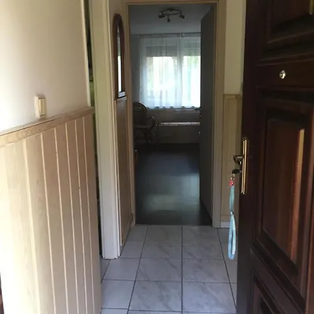 Betty * Nyíregyháza